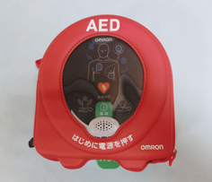 AEDi̊Oדj